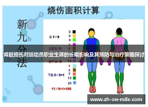 肾脏损伤对运动员职业生涯的长期影响及其预防与治疗策略探讨 肾脏损伤对运动员职业生涯的长期影响及其预防与治疗策略探讨