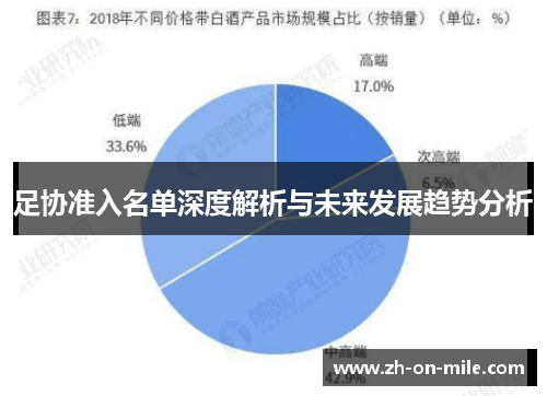 足协准入名单深度解析与未来发展趋势分析 足协准入名单深度解析与未来发展趋势分析
