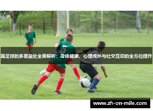 踢足球的多重益处全面解析:身体健康、心理成长与社交互动的全方位提升 踢足球的多重益处全面解析:身体健康、心理成长与社交互动的全方位提升
